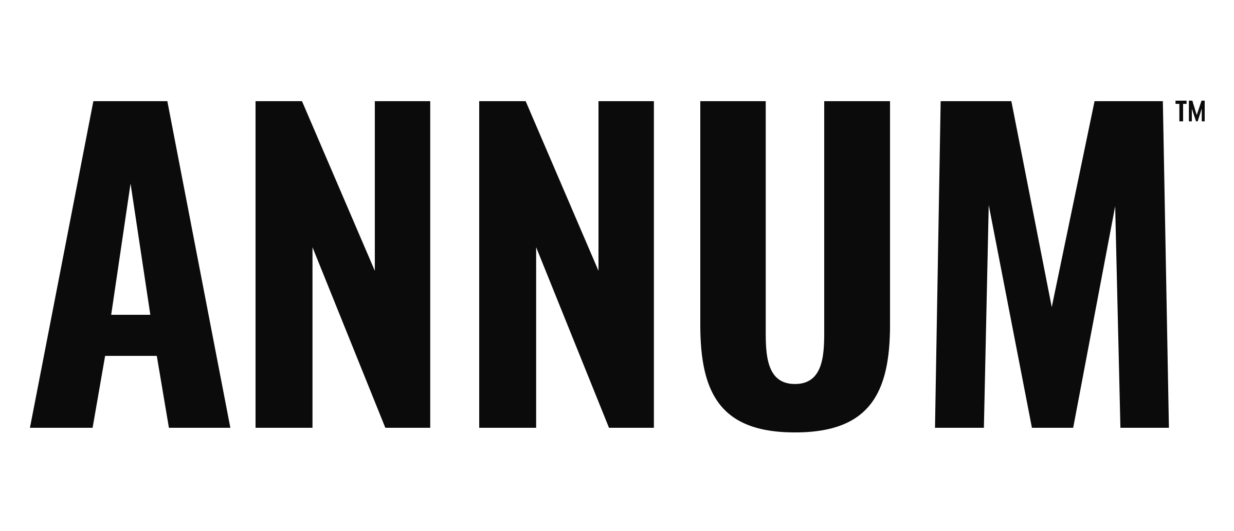 Annum logo